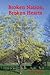 Broken Nation, Broken Hearts by Rick Amburgey