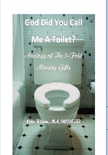 God Did You Call Me A Toilet