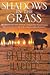 Shadows in the Grass by Beverley Harper