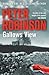 Gallows View (Inspector Banks, #1) by Peter Robinson