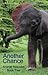 Another Chance - Animal Rescues - Book Two (Another Chance - True Animal Rescues)