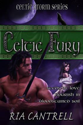 Celtic Fury (Celtic Storm, #1)