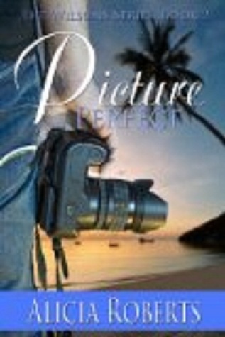Picture Perfect (The Wilsons, #2)