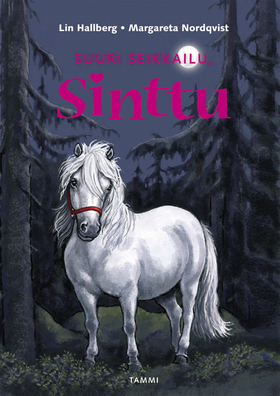 Suuri seikkailu, Sinttu (Sinttu, #7)