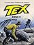 Tex: Sjene u noći (Tex Albo Speciale #18)