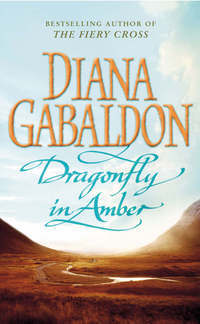 Dragonfly in Amber