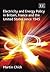 Electricity and Energy Policy in Britain, France and the United States since 1945