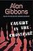 Caught in the Crossfire by Alan Gibbons