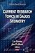 Current Research Topics on Galois Geometrics (Mathematics Research Developments)