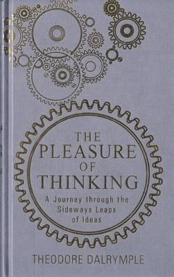 Pleasure of Thinking: A Journey Through the Sideways Leaps of Ideas (Hardcover)