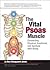 Vital Psoas Muscle