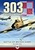 303 (Polish) Squadron by Richard King