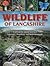 Wildlife of Lancashire: Exp...