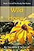 Wild Honey (Book Two of The Brady Boe Series)