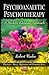 Psychoanalytic Psychotherapy: A Modern Kleinian Approach (Psychiatry-theory, Applications and Treatments)