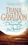 Dragonfly In Amber