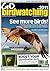 Go Birdwatching by David Cromack