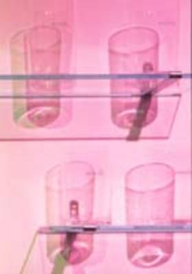 Louise Lawler: A Spot on the Wall (Paperback)