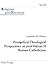 Evangelical Theological Perspectives on post-Vatican II Roman Catholicism (Religions and Discourse)