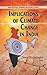 Implications of Climate Change in India by Denise M. Gallagher
