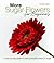 More Sugar Flowers for Beginners: A Step-by-step Guide to Making Beautiful Flowers in Sugar