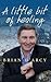 A Little Bit of Healing by Brian D'Arcy