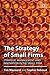 The Strategy of Small Firms...