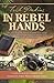 In Rebel Hands by Trish Perkins