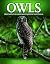 Owls, Frogmouths and Nightjars of Australia