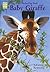 Baby Giraffe: A Lift-the-flap Book (Happy Cat Paperbacks)
