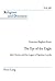 The Eye of the Eagle: John Donne and the Legacy of Ignatius Loyola (Religions and Discourse)
