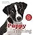 Puppy Training: The Essential Guide for All Puppy Owners