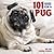 101 Uses For A Pug by Willow Creek Press