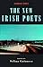 The New Irish Poets