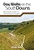 Day Walks on the South Downs: 20 Circular Routes in Hampshire & Sussex