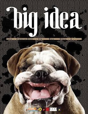 Big Idea (Hardcover)