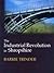 The Industrial Revolution i...