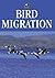 Bird Migration