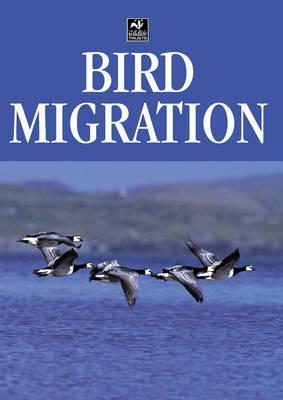 Bird Migration