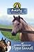 Rusty the Trustworthy Pony by Pippa Funnell