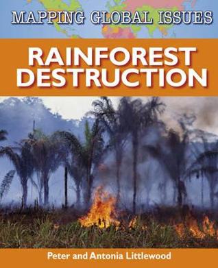 Rainforest Destruction