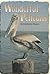 Wonderful Pelicans - Reading 2000 Leveled Reader 2.39B (Scott Foresman Reading: Yellow Level)