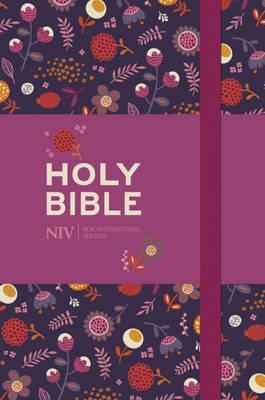 The Holy Bible: New International Version.