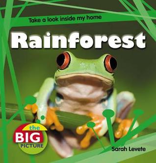 Rainforest (Hardcover)