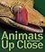 Animals Up Close: Zoom in on the World's Most Incredible Creatures