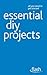 Essential DIY Projects: Flash (Flash (Hodder Education))