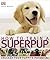 How To Train A Superpup