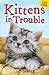 Kittens in Trouble: Kittens in the Kitchen & Kitten in the Cold (Animal Ark)
