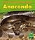 Anaconda
