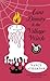 Aunt Dimity and the Village Witch (Aunt Dimity Mystery #17)